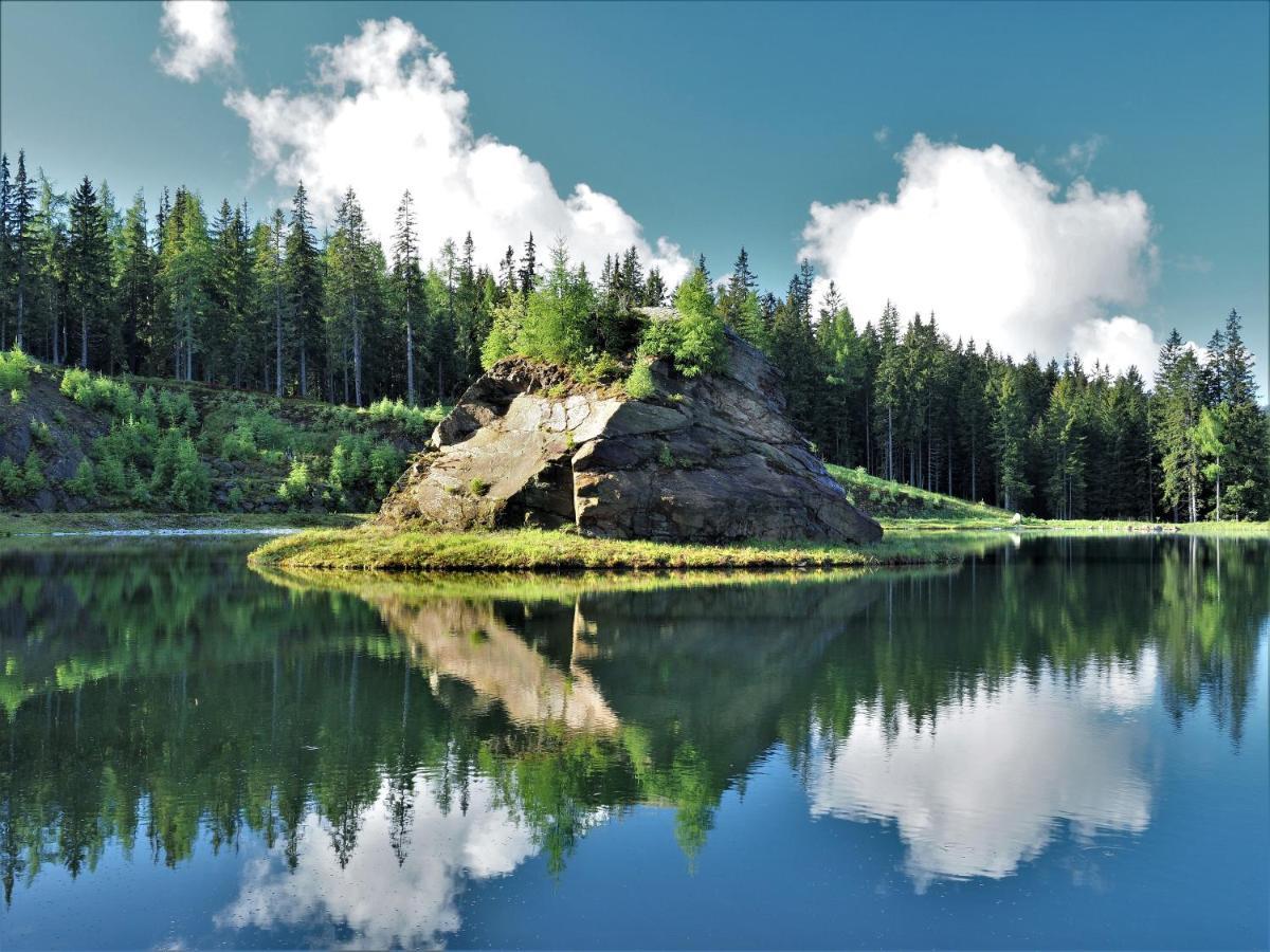 Naturforsthaus Gartenblick Fuer Hunde - Und Naturverbundene Menschen Preitenegg Экстерьер фото