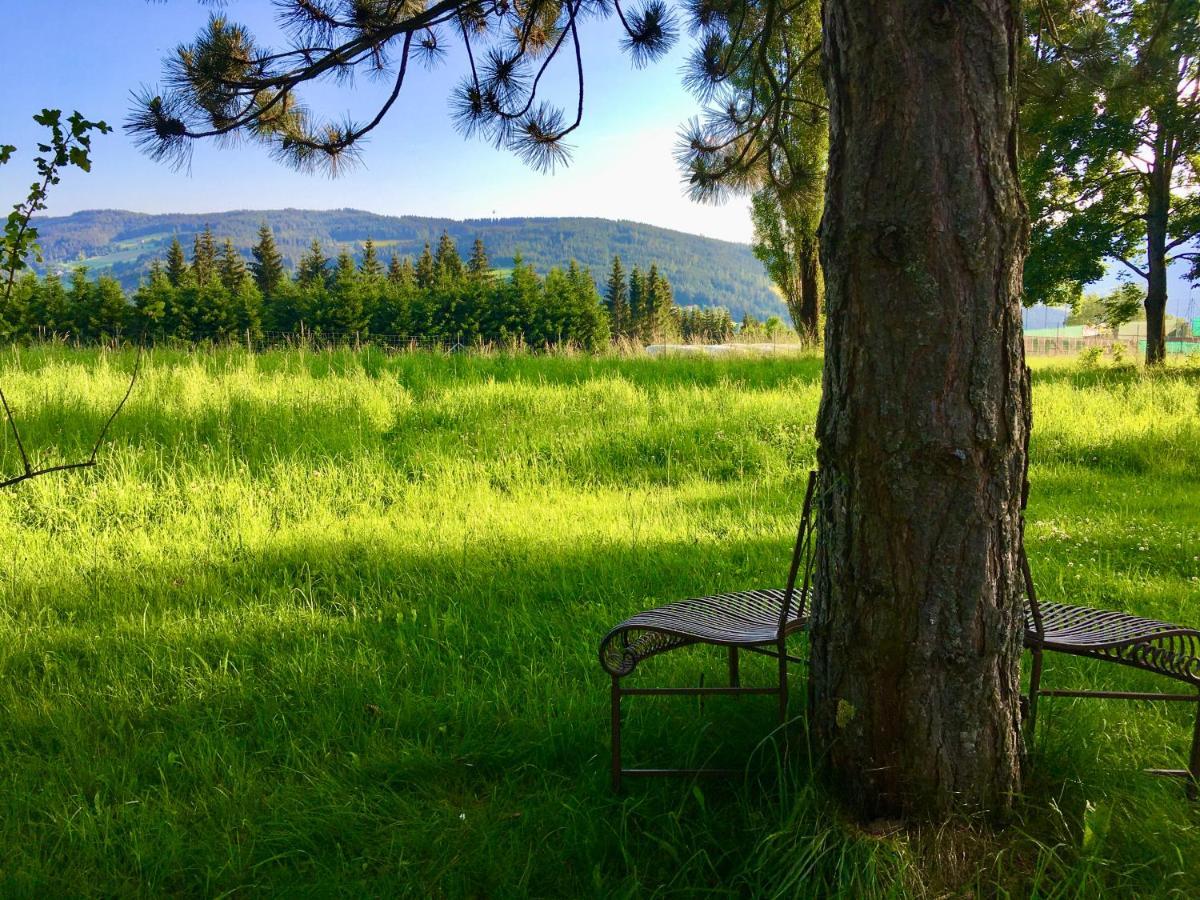 Naturforsthaus Gartenblick Fuer Hunde - Und Naturverbundene Menschen Preitenegg Экстерьер фото