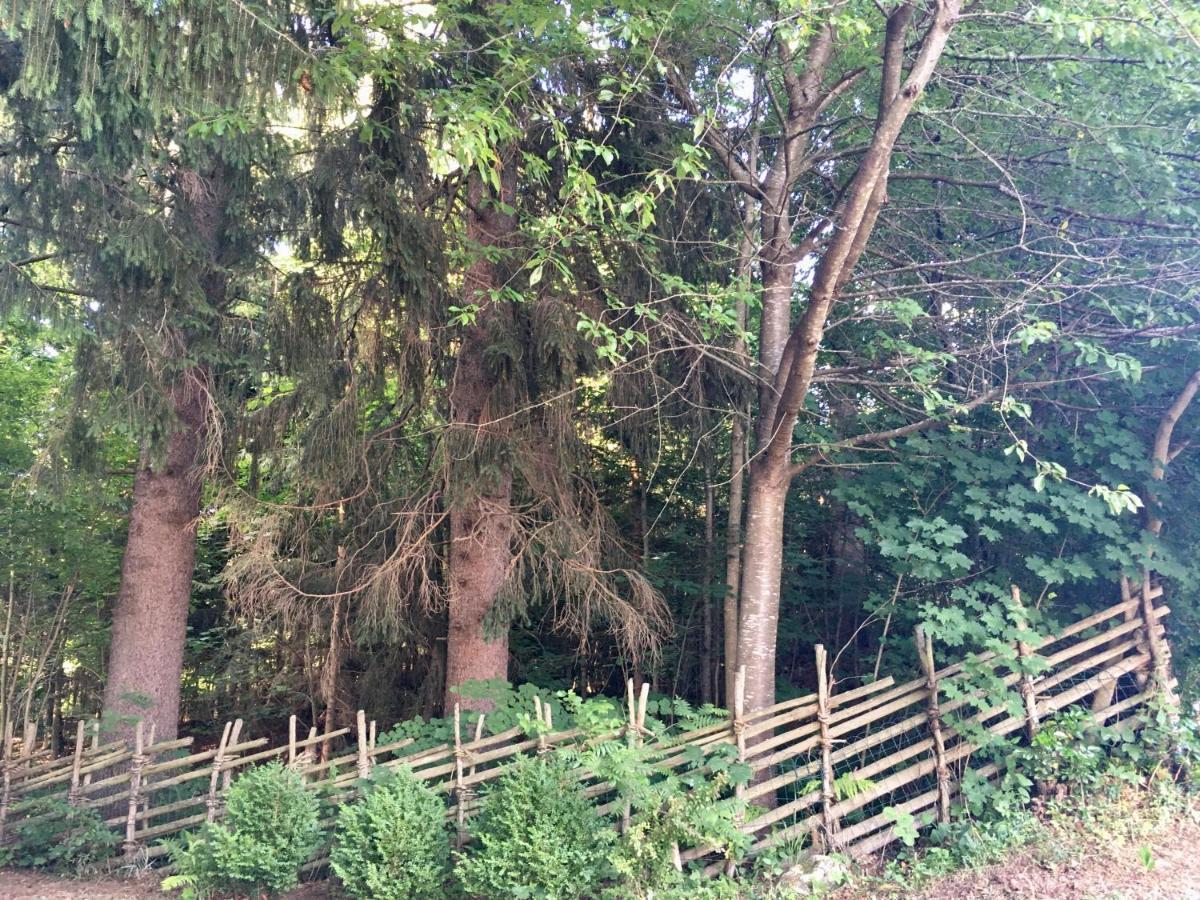 Naturforsthaus Gartenblick Fuer Hunde - Und Naturverbundene Menschen Preitenegg Экстерьер фото