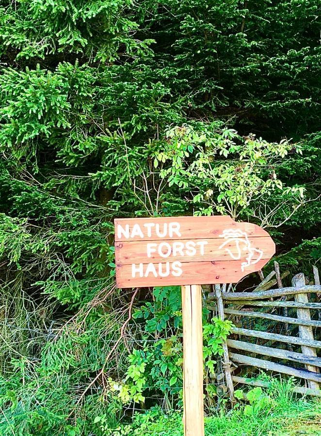Naturforsthaus Gartenblick Fuer Hunde - Und Naturverbundene Menschen Preitenegg Экстерьер фото