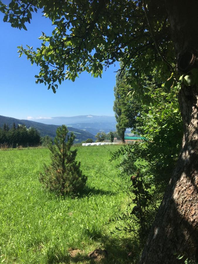 Naturforsthaus Gartenblick Fuer Hunde - Und Naturverbundene Menschen Preitenegg Экстерьер фото