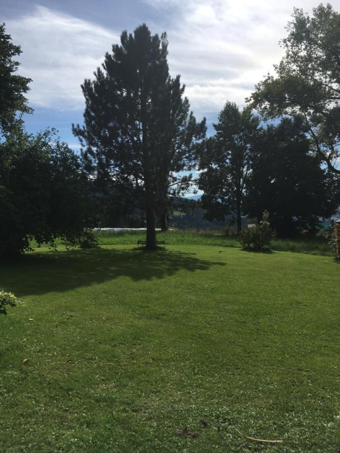 Naturforsthaus Gartenblick Fuer Hunde - Und Naturverbundene Menschen Preitenegg Экстерьер фото