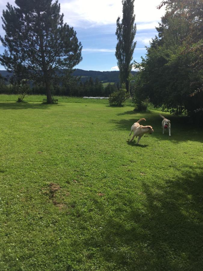 Naturforsthaus Gartenblick Fuer Hunde - Und Naturverbundene Menschen Preitenegg Экстерьер фото