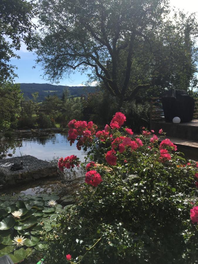 Naturforsthaus Gartenblick Fuer Hunde - Und Naturverbundene Menschen Preitenegg Экстерьер фото