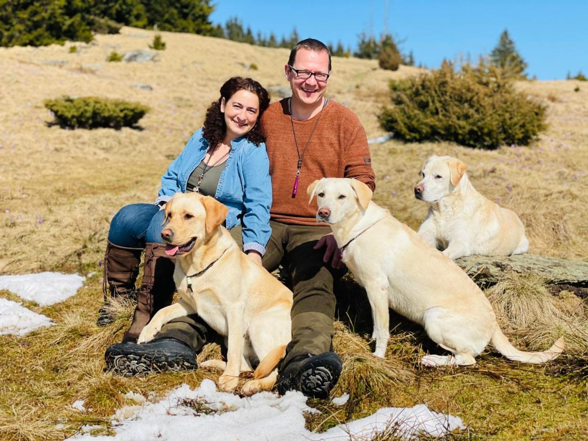 Naturforsthaus Gartenblick Fuer Hunde - Und Naturverbundene Menschen Preitenegg Экстерьер фото